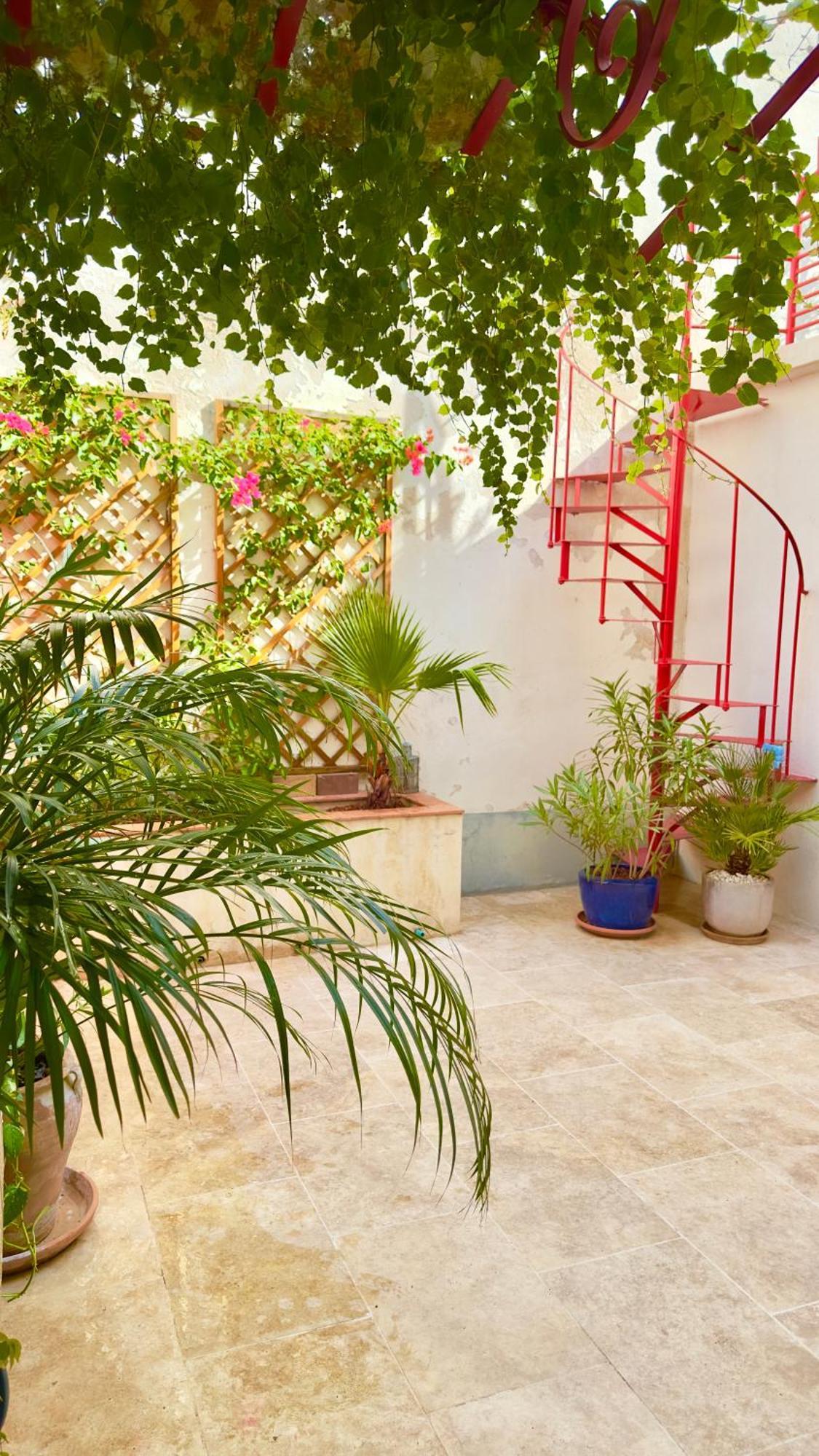 Gite Avignon Bougainvillier エクステリア 写真